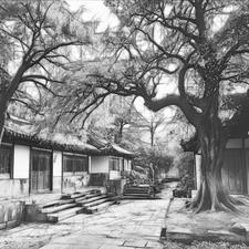 正方形手拉手模型结论